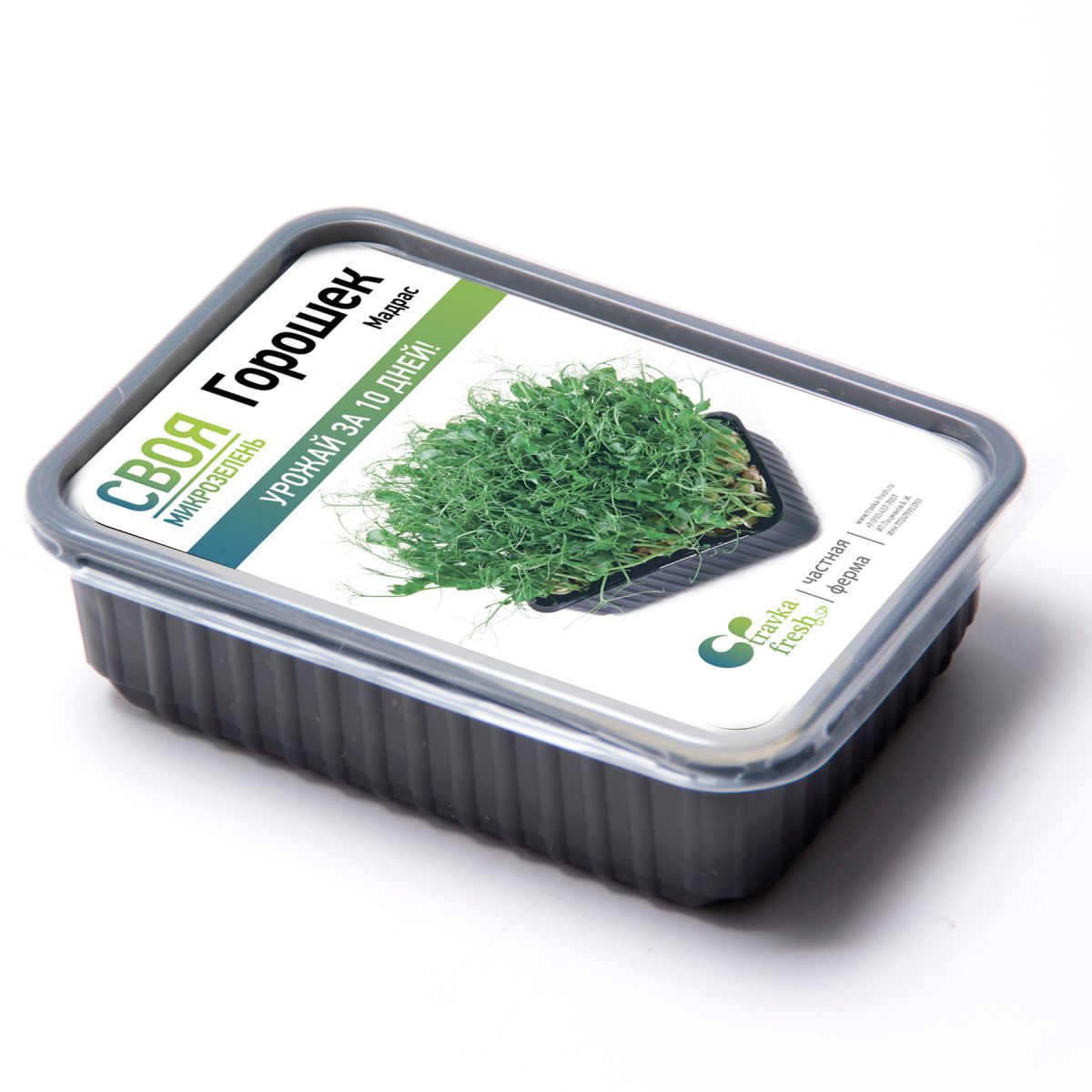 White-label лоток для микрозелени